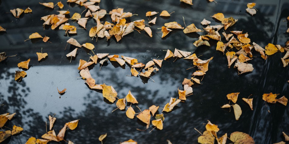 a heart made out of leaves